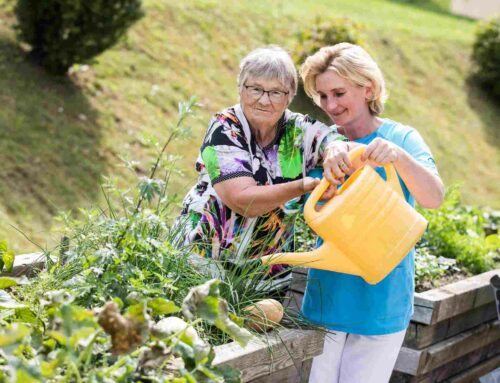 Heimhilfe – Was man darunter versteht und wer sie beanspruchen kann