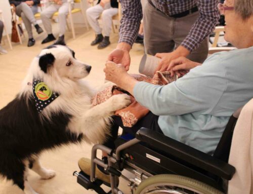Tiergestützte Therapie und Tiere in SeneCura Häusern